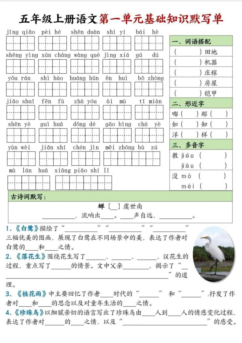五上语文1-8单元基础知识默写单-学行智库