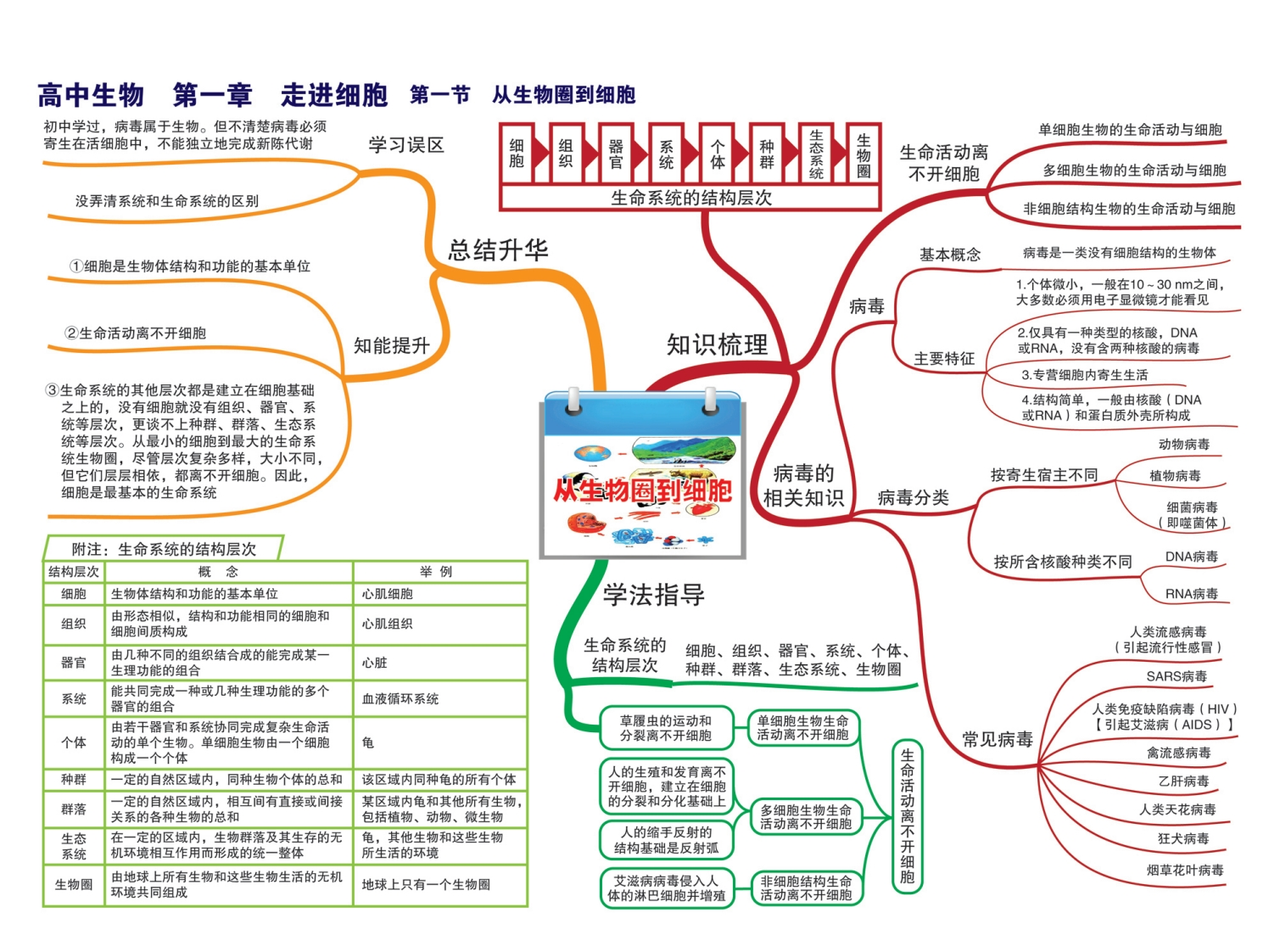 高中生物-思维导图-学行智库