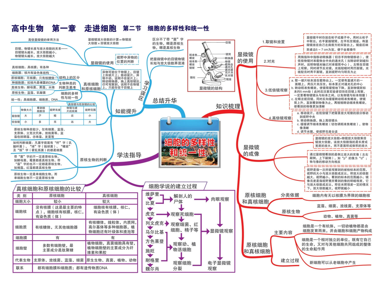图片[3]-高中生物-思维导图-学行智库