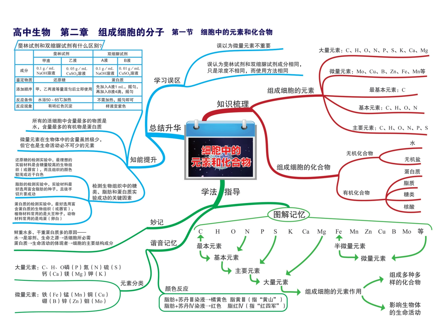 图片[4]-高中生物-思维导图-学行智库
