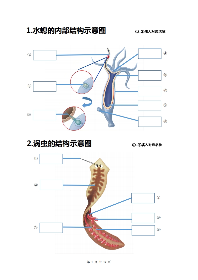 图片[3]-💤24年人教版八上生物20个重点图（附答案）-学行智库